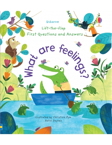 First Questions  and Answers What Are Feelings? (Lift the Flap)