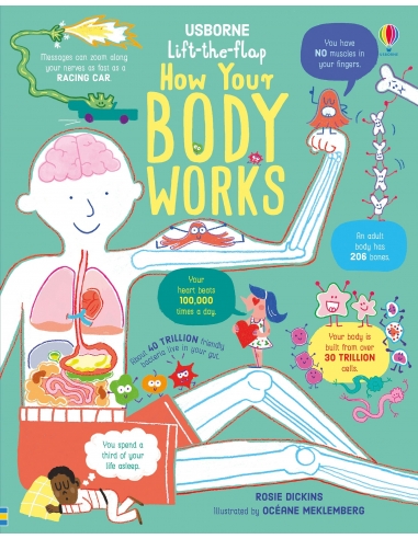 How Your Body Works (Lift the Flap)